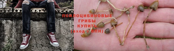 метадон Богданович