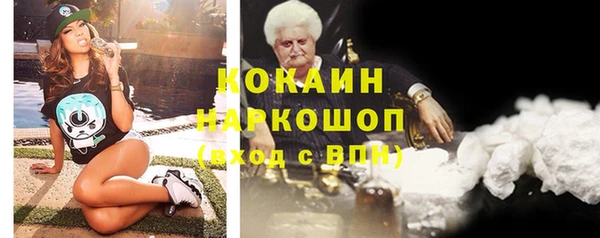 метадон Богданович