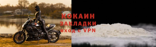 метадон Богданович