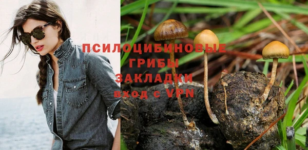 таблы Богородицк