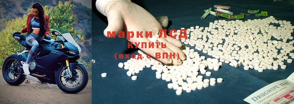 метадон Богданович