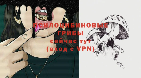 метадон Богданович