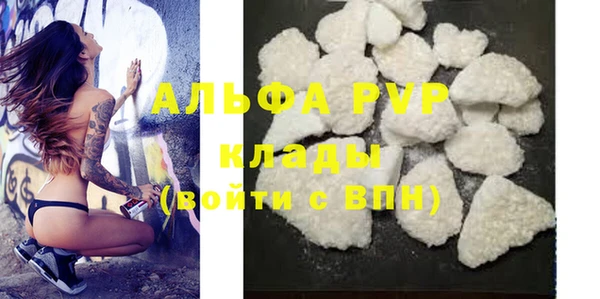 метадон Богданович