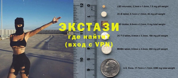 таблы Богородицк
