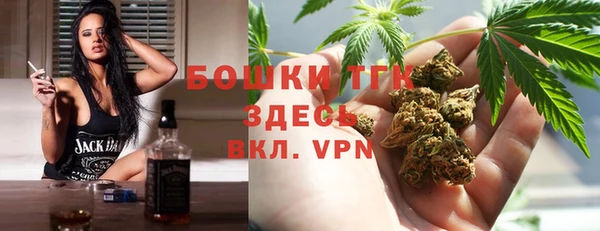 таблы Богородицк