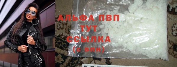 метадон Богданович